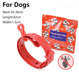 Silicone  Anti Flea Ticks Pet Collar