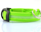 Night Luminous LED Collar