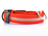 Night Luminous LED Collar