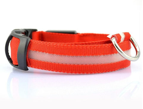 Night Luminous LED Collar