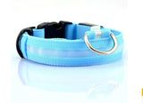 Night Luminous LED Collar
