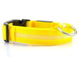 Night Luminous LED Collar