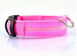 Night Luminous LED Collar