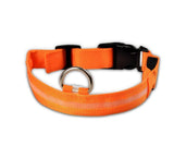 Night Luminous LED Collar