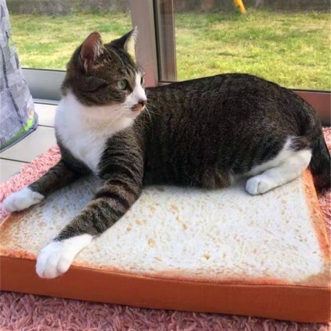 Creative Toast bread Pet Bed