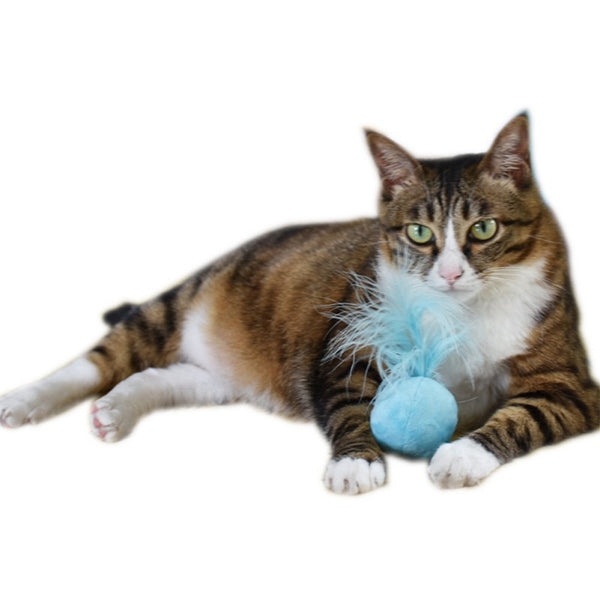 100% Edible Cats-go-crazy Treats Toy