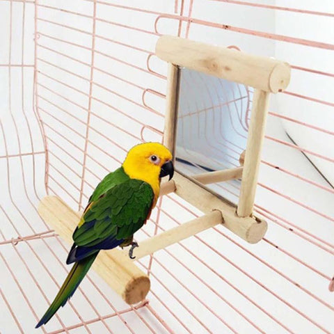 Wooden Bird Toy Mirror Fun Toy