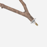Wood Branch Random Pet Parakeet Parrot Budgie