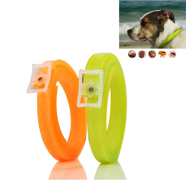 Waterproof Anti Flea and Tick Pest Lice Plastic Pet Collar