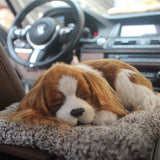 Charcoal Activated Carbon Simulation Odor Remover