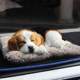 Charcoal Activated Carbon Simulation Odor Remover