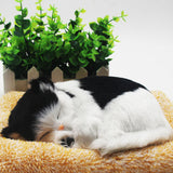 Charcoal Activated Carbon Simulation Odor Remover