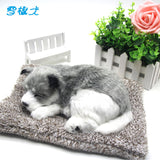 Charcoal Activated Carbon Simulation Odor Remover