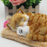 Charcoal Activated Carbon Simulation Odor Remover