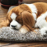 Charcoal Activated Carbon Simulation Odor Remover