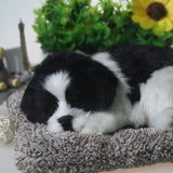 Charcoal Activated Carbon Simulation Odor Remover