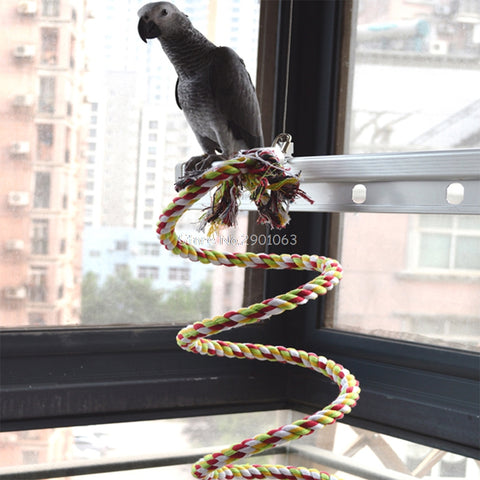 Birds Coil Swing Bell Perch