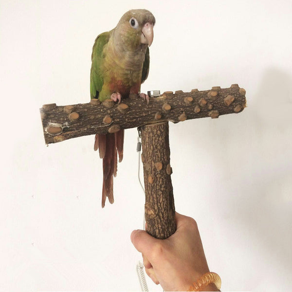 T Shape Wooden Bird Hamster Squirrel Rest Standing Branch