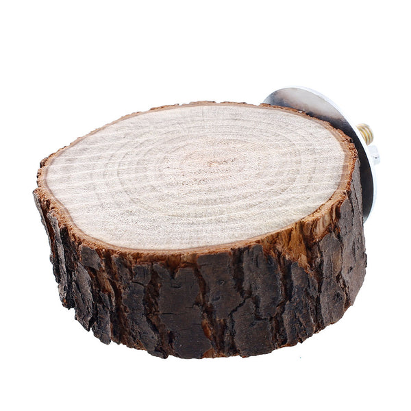 Round Wooden Squirrel Parrot Bird Perch Stand