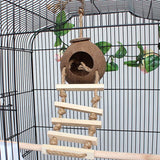 Coconut Nest Shell Wood Ladder Bird