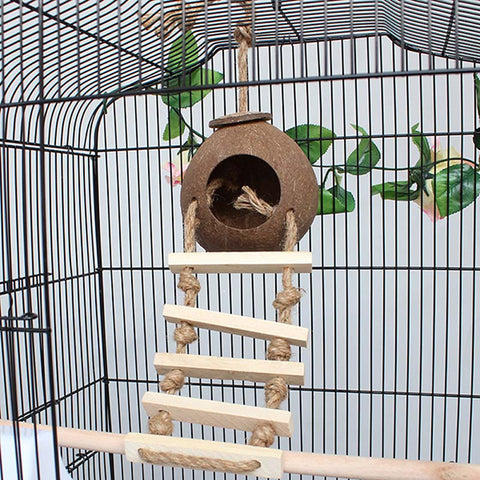 Coconut Nest Shell Wood Ladder Bird