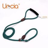 Sponge Handle Stripled Pet Leash Collar