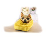 Animal Shaped Litter Sofa
