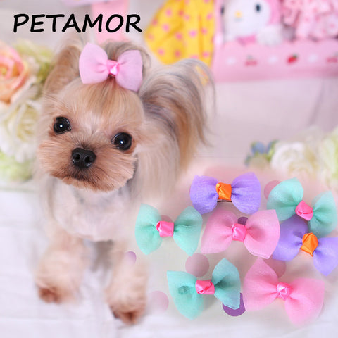 Puppy Hair Tie Clip