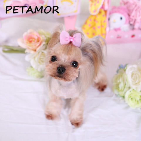 Puppy Hair Tie Clip