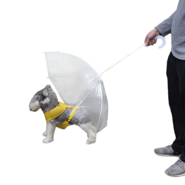 Snow waterproof windproof Umbrella For Small Dogs